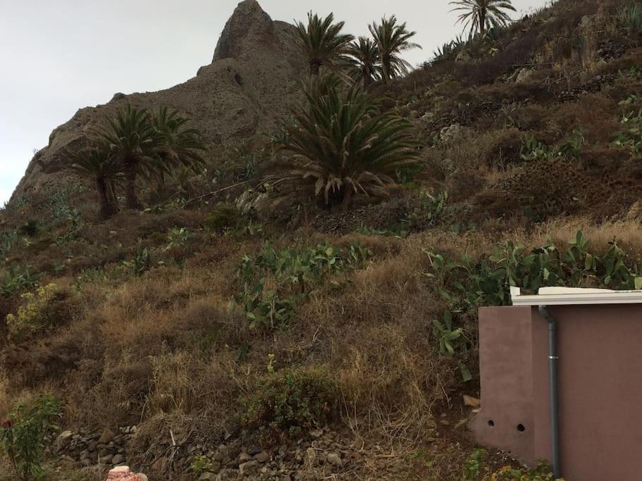 Casa-solarium En La Naturaleza Santa Cruz de Tenerife