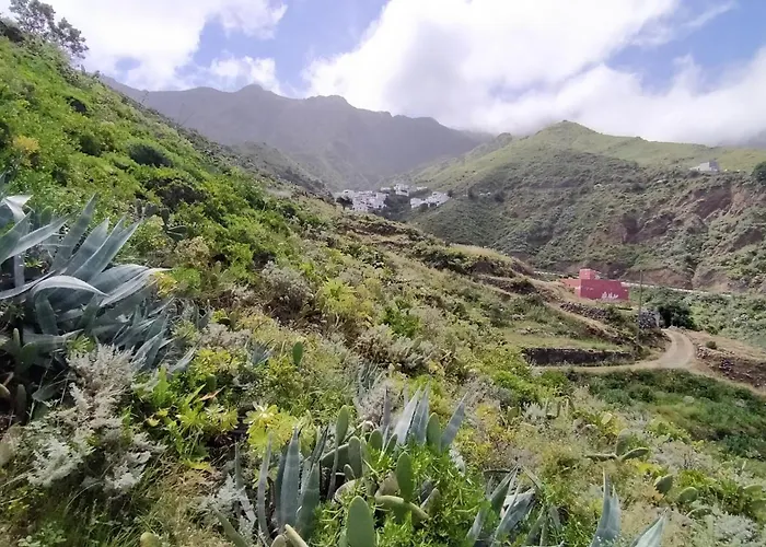 Casa-Solarium En La Naturaleza