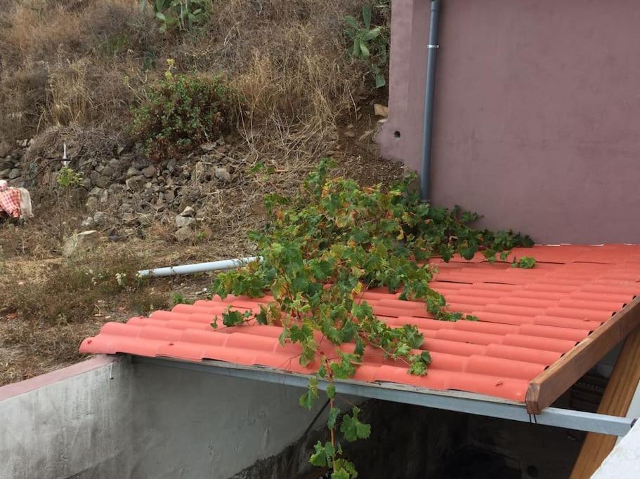 Vakantiehuis Casa-solarium En La Naturaleza